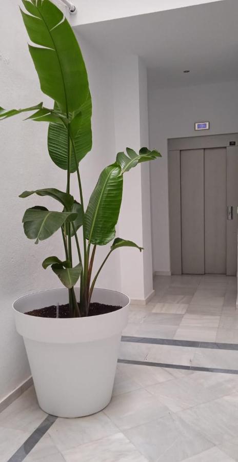 El 2 De Flamenco Atico 3ºb Apartment Cadiz Ngoại thất bức ảnh